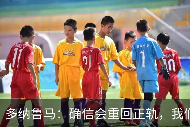 多纳鲁马：确信会重回正轨，我们将重返意大利应有的高度